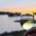 vinul zilei un chardonnay complex cu arome olfactive de piersici pepene galben paine prajita si unt completate pe palat de note de fructe proaspete si vanilie cu un postgust elegant lung si per 679c77a3a312b