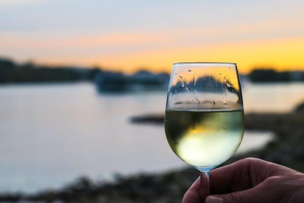 vinul zilei un chardonnay complex cu arome olfactive de piersici pepene galben paine prajita si unt completate pe palat de note de fructe proaspete si vanilie cu un postgust elegant lung si per 679c77a3a312b