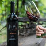 vinul zilei un cupaj rosu de la o crama din dealu mare un vin prietenos echilibrat la un pret atractiv savuros alaturi de preparate din vanat friptura la cuptor tochitura moldoveneasca sau cozo 67948eb21ec4c