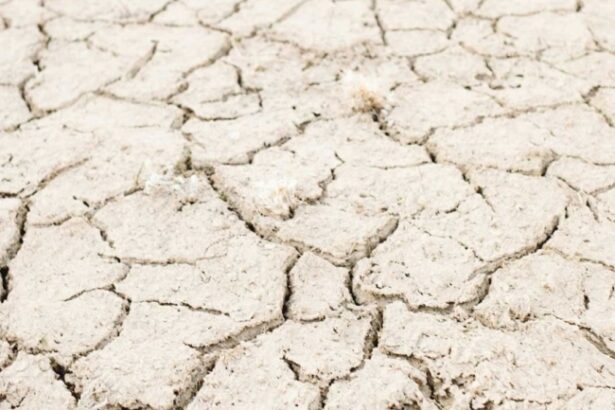 76 dintre romani sunt ingrijorati de efectele schimbarilor climatice 67b4350245a1c