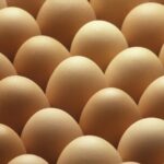 agroland vinde oua in valoare de 40 milioane lei si isi majoreaza substantial profitul net 67b8c8f4b50f6