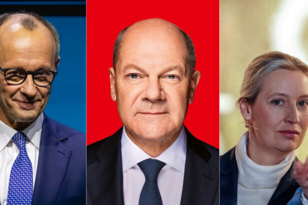 alegerile din germania cine ar putea sa il inlocuiasca pe olaf scholz si ce impact va avea ascensiunea extremei drepte 67baacad78df2