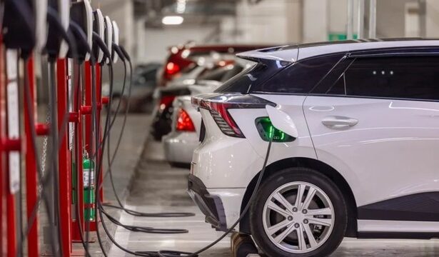 americanii au dat navala sa cumpere masini electrice speriati de anuntul lui trump ca va elimina subventia de 7 500 de dolari 67b5680f22db4