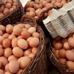 americanii platesc un pret record pentru oua 67adb75dccafe