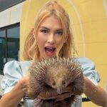 andreea balan revine la tv dupa ce a fost inlocuita de ilona brezoianu la antena 1 evident ca nu la acelasi post 67b880a440e9d