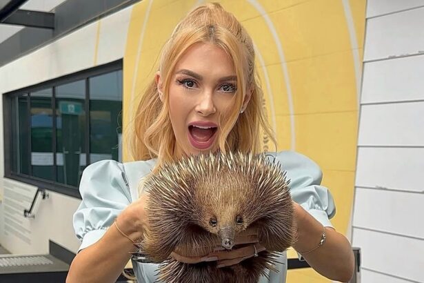 andreea balan revine la tv dupa ce a fost inlocuita de ilona brezoianu la antena 1 evident ca nu la acelasi post 67b880a440e9d