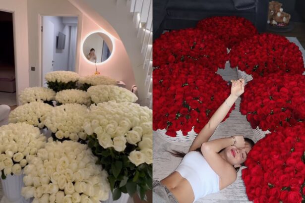 andreea bostanica a spus cine e iubitul ei nu e din romania nici din tarile arabe el e cel care i a daruit recent 2 000 de trandafiri 67a5c14828719