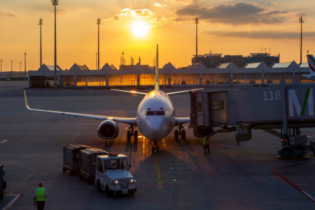 atentionare de calatorie emisa de mae pentru romanii care merg in germania greve care afecteaza transportul aerian 67c0c9a8c3ad2