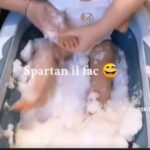 autoritatea pentru protectia drepturilor copilului s a autosesizat in cazul parintilor care si tin copiii in zapada 67bab72628fdc