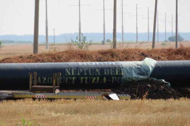 autorizatia de construire a conductei de transport al gazelor naturale ce vor fi extrase din cel mai mare zacamant romanesc din marea neagra a fost contestata in instanta 67bd904dda9f5