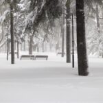 avertisment meteo va fi una din cele mai reci luni februarie din istorie 67b2f406de18e