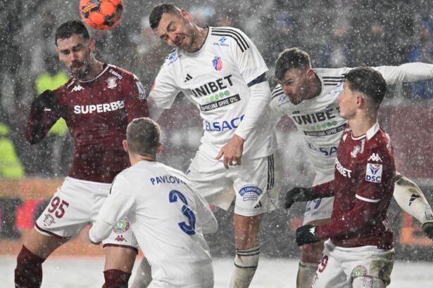 basarab panduru a rabufnit dupa rapid fc botosani lucruri care sunt facute fara cap 67b3a4873c00f