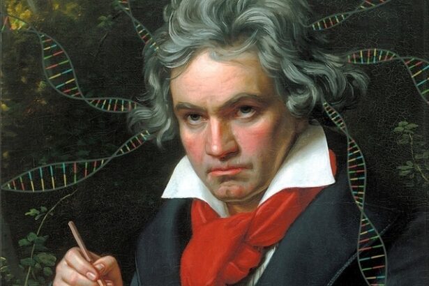 beethoven si marie curie vs pasari si rauri ce va aparea pe noile bancnote euro 679e52779bd48