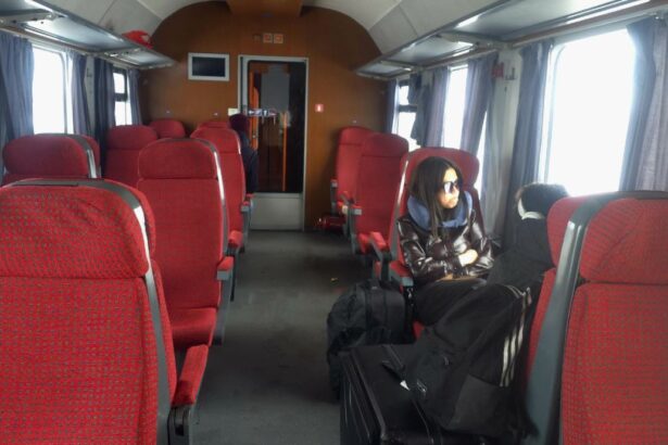 bilete scumpe servicii proaste calatori tinuti in frig in trenul ir 1587 care circula spre constanta 67b491b1b0f7b