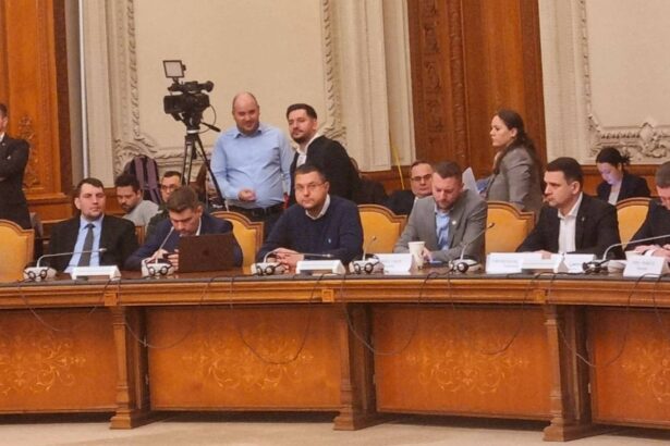 bugetul pentru transporturi adoptat in comisiile parlamentare crusoveanu pnl portul constanta se afla in prim plan 67a2363af398c
