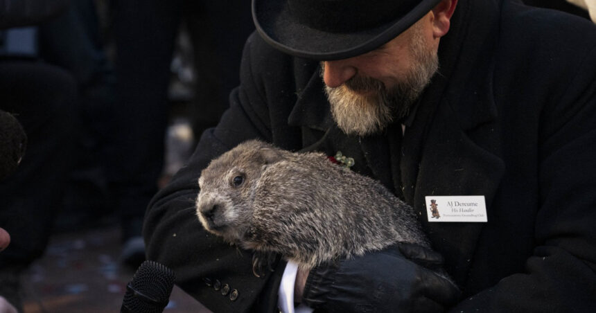 cat mai tine vremea de iarna ce a prezis marmota phil cel mai cunoscut meteorolog din sua 679fa27b6219e
