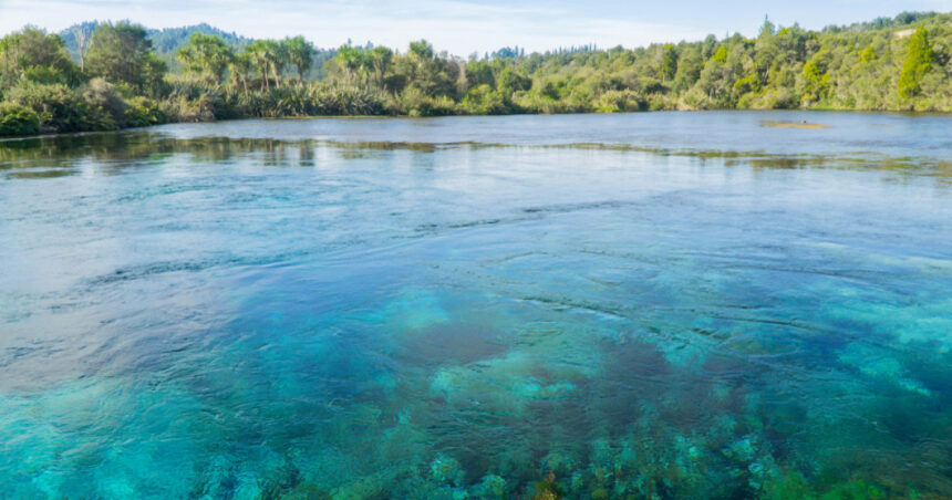 cel mai limpede lac din lume este amenintat de o alga adusa de turisti pe incaltaminte 67b09c379595c