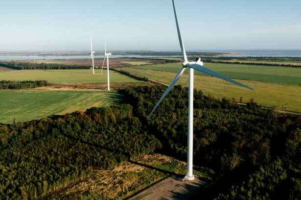 cele mai mari turbine eoliene din romania instalate la parcul pecineaga de danezii de la eurowind energy 67bcac1035d76