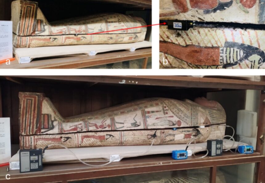 cercetatorii au folosit un nas electronic pentru a studia mirosul mumiilor egiptene 67b0cb9c23f58