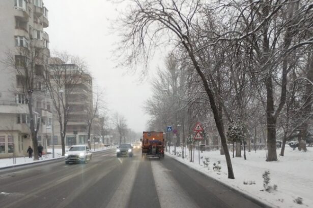 circulatia in municipiul constanta se desfasoara in conditii normale de trafic 67b224cbad348