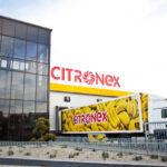 citronex unul dintre cei mai mari importatori si distribuitori de banane din lume victima unei tentative de inselatorie de proportii in romania am descoperit chiar cand marfa era deja 67b7b7f13c509