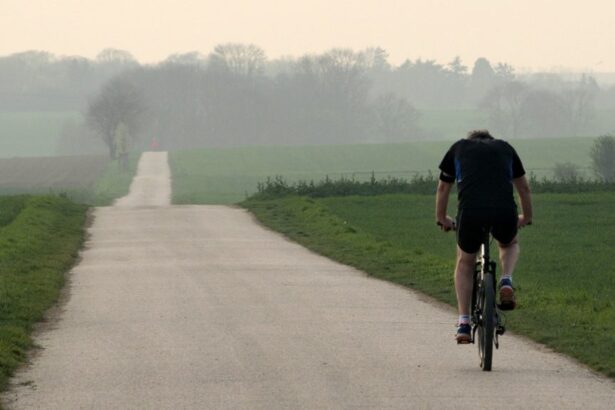 cjc a finalizat o licitatie pentru construirea a 500 de kilometri de piste pentru biciclete 67ad37c63119e