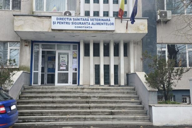 cladirea dsvsa constanta intra in reabilitare primaria a eliberat autorizatia de construire 67ac5b55b9d98
