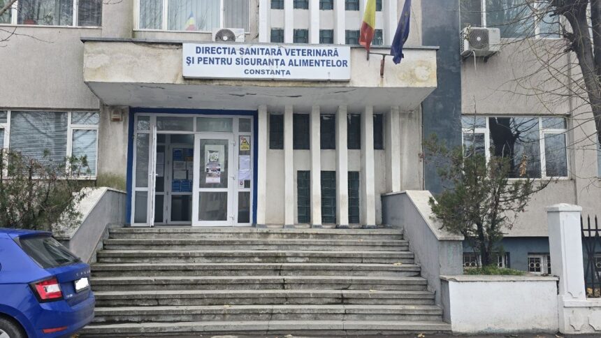 cladirea dsvsa constanta intra in reabilitare primaria a eliberat autorizatia de construire 67ac5b55b9d98