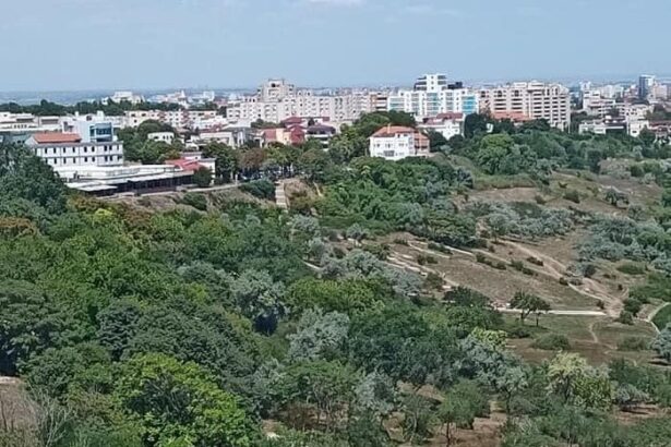 constanta va avea sosea de coasta anul acesta ar incepe elaborarea documentatiilor 67bf97ae13fe4