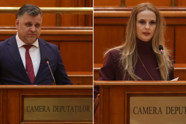 deputatii pot monica si radu ionescu au fost exclusi din partid pentru promovarea si incurajarea violentei principalele acuzatii 67b35516613cb