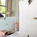diamantul zburator din calvine misterul celei mai bune imagini cu un ozn pozele originale si martorii incidentului au disparut 67b06e5e9efd7