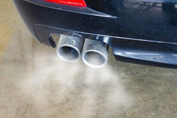 director de top al renault vede deja ca ue va relaxa regulile provind emisiile de dioxid de carbon 67b84ad994821
