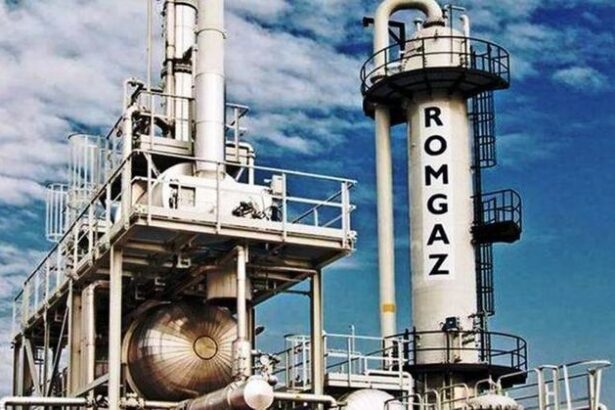 document romgaz prelungeste termenul de implementare a platformei it de furnizare de gaze si energie catre clienti finali inclusiv casnici accepta si solutii digitale e280b3de a gatae280b3 67aa8ecfec39e