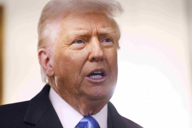 donald trump ameninta cu noi taxe vamale de 25 ce domenii vizeaza liderul de la casa alba 67b59bf3a30e9