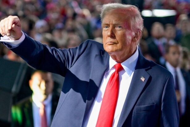donald trump si a fixat ochii pe pamanturile rare ucrainene 67a1bdc81b104