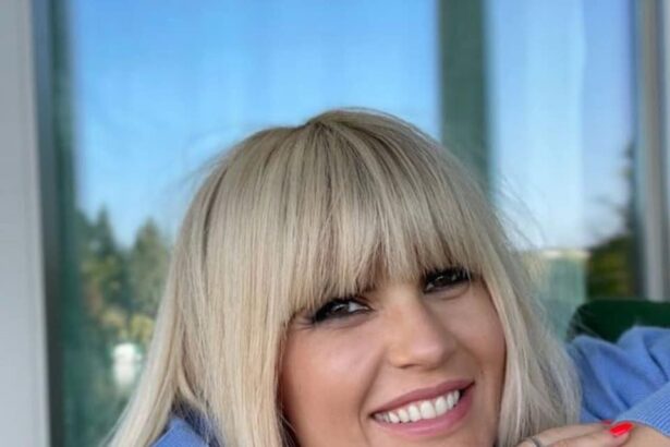 elena udrea iese la atac dupa ce iohannis a plecat statul paralel se grabeste sa se replieze si sa isi conserve puterea 67abab8f3336c