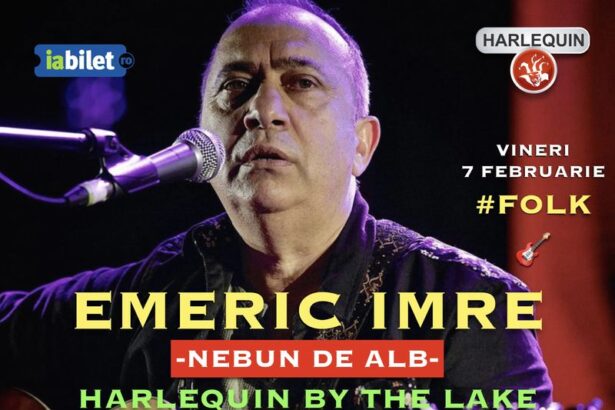 emeric imre harlequin by the lake 67a57948866f4