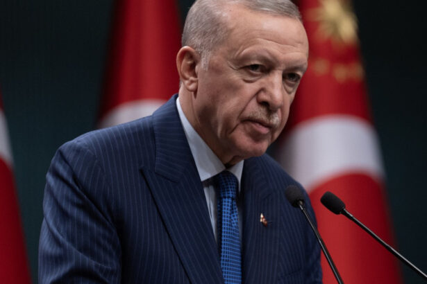 erdogan nu exclude ca turcia sa trimita trupe pentru mentinerea pacii in ucraina 67c1840731825