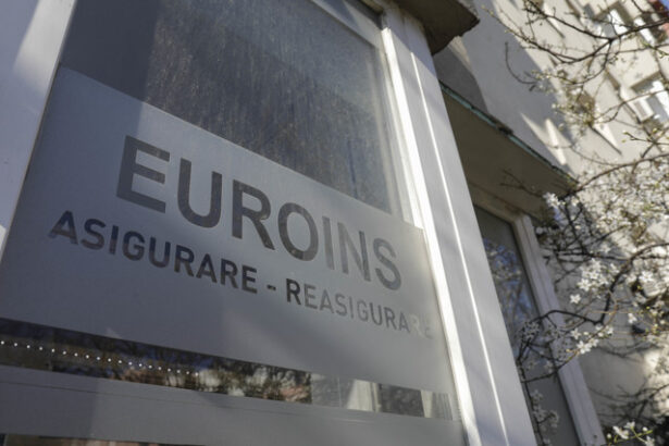 euroins deschide un proces la cedo pentru refuzul instantei romane de a suspenda falimentul 67adfdab0289b