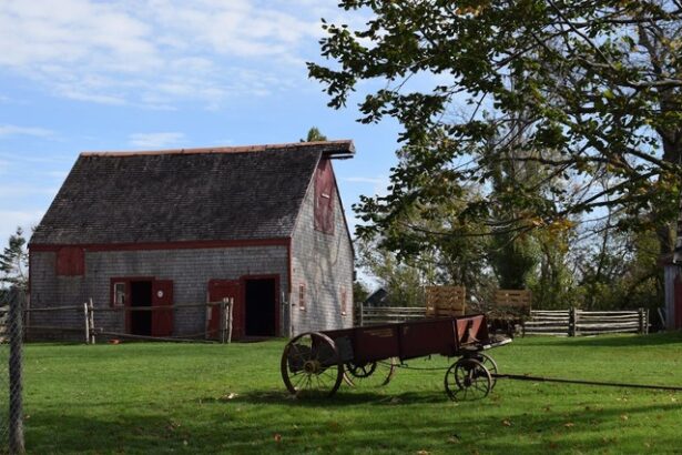 fermierii americani apeleaza la airbnb pentru a face fata scaderii preturilor produselor agricole 67a9aa309ba1a