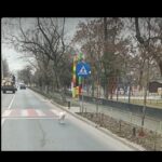 foto cangur alb pe strazile din bucuresti oamenii spun ca ar fi al lui nutu camataru 67ac9a946e009