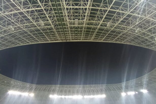 foto exclusiv canta greierii pe ion oblemenco cati suporteri sunt prezenti la finala pentru play off fcu craiova fc arg 67be06337bf93