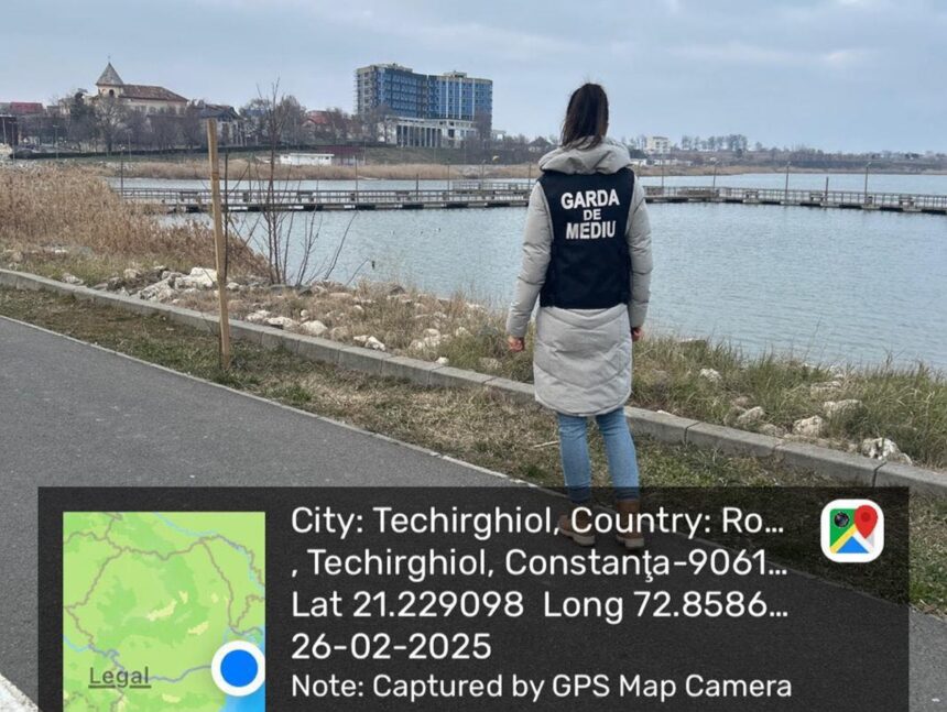 foto pasari salbatice moarte pe lacul techirghiol au fost duse in laborator pentru investigatii 67c005b3c3bd6