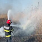 foto video incendiu la stuf aproape de somova focul s a extins pe o suprafata de 3 000 de metri patrati 67acafc0300c8