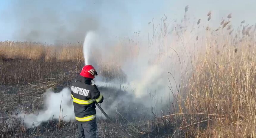 foto video incendiu la stuf aproape de somova focul s a extins pe o suprafata de 3 000 de metri patrati 67acafc0300c8