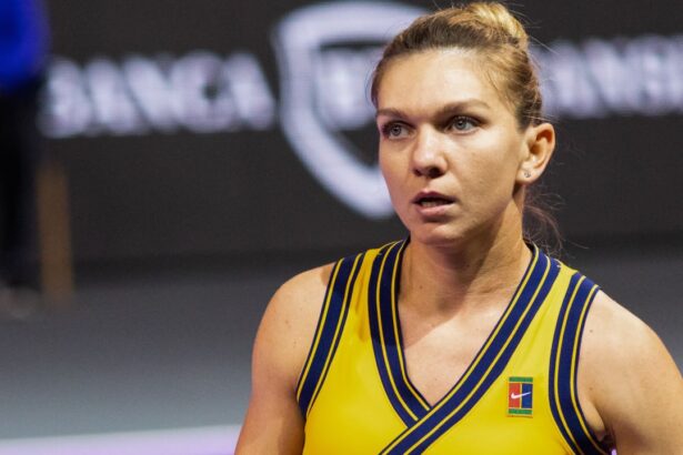 galerie foto jucatoare cu jucatoare ce au facut halep cirstea begu bogdan ruse si cristian la transylvania open in anii anteriori 679e2a16d11da