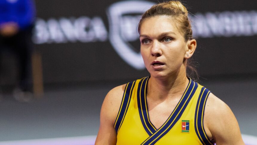galerie foto jucatoare cu jucatoare ce au facut halep cirstea begu bogdan ruse si cristian la transylvania open in anii anteriori 679e2a16d11da