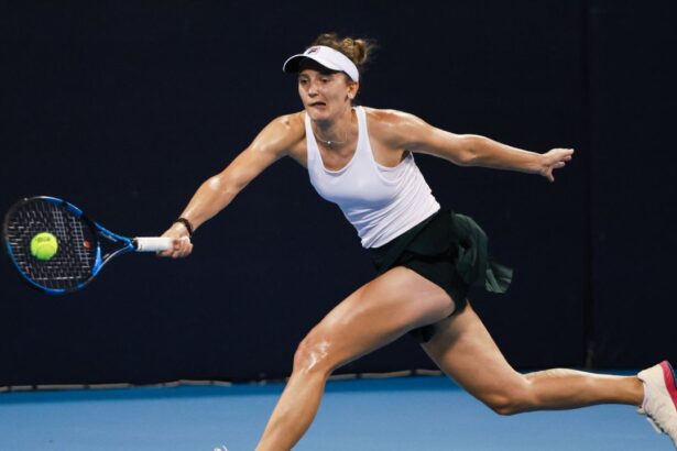 galerie foto revelatia openului australian confirma a invins o pe irina begu la dubai de la 0 1 la seturi 67b3378a3a780