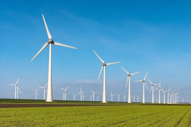 germania lider in europa la instalarea turbinelor eoliene 67c04168cfb29