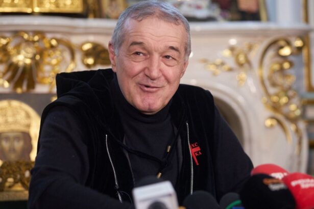 gigi becali derapaj la adresa lui sabau gluma de prost gust a latifundiarului contrazisa de cifre 67a07c15508e1